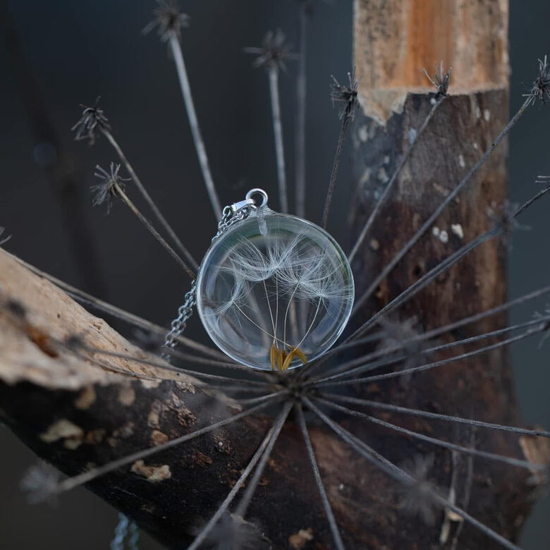 Kulons ar piecām pieneņu pūciņām (pēc pasūtījuma)