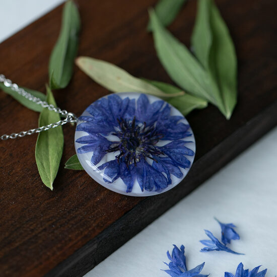 Kulons ar veselu rudzupuķes ziedu