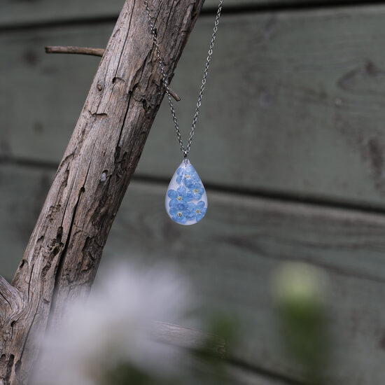 Kulons ar neaizmirstulītēm (pieejams iegādei uzreiz)