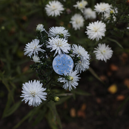 Kulons ar neaizmirstulītēm (apaļa forma, iegādei uzreiz)